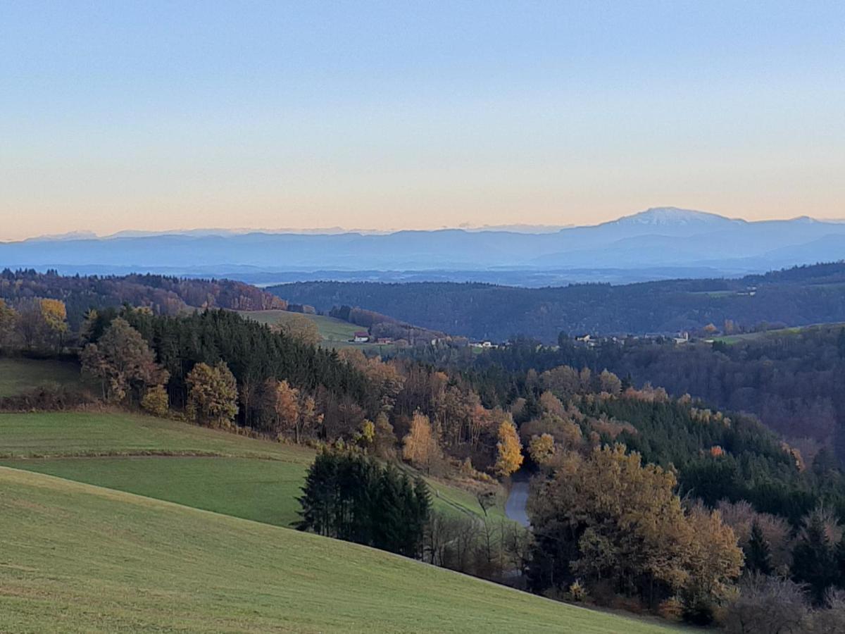 Ferienwohnung Rotheneder- Rupp Niederndorf  エクステリア 写真